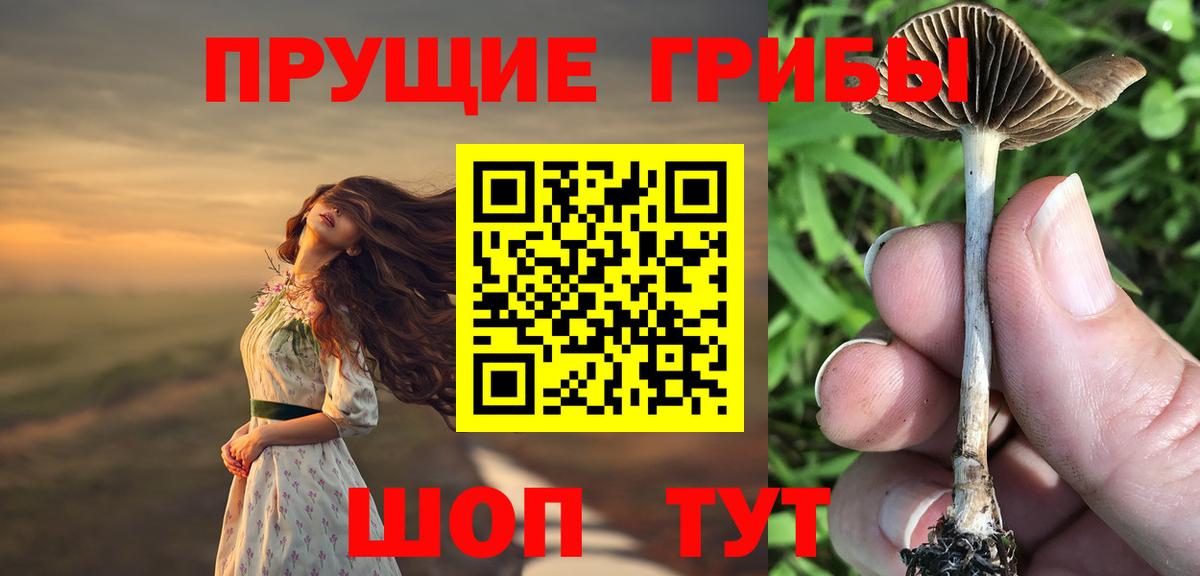 Псилоцибиновые грибы Psilocybine cubensis  Вход с VPN  Пугачёв 